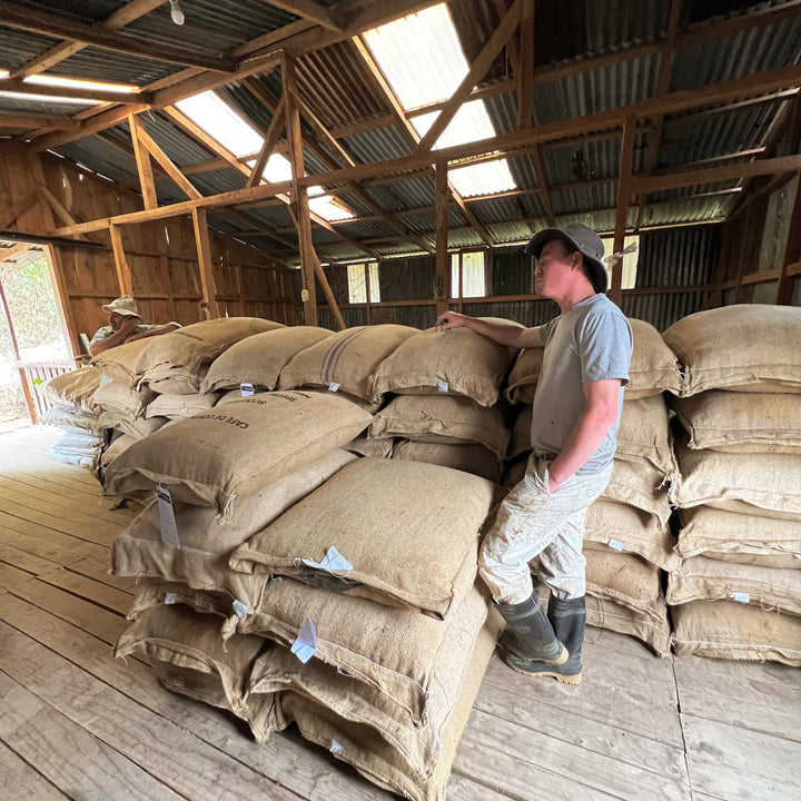 Coffee storage at finca La Concha, Costa Rica