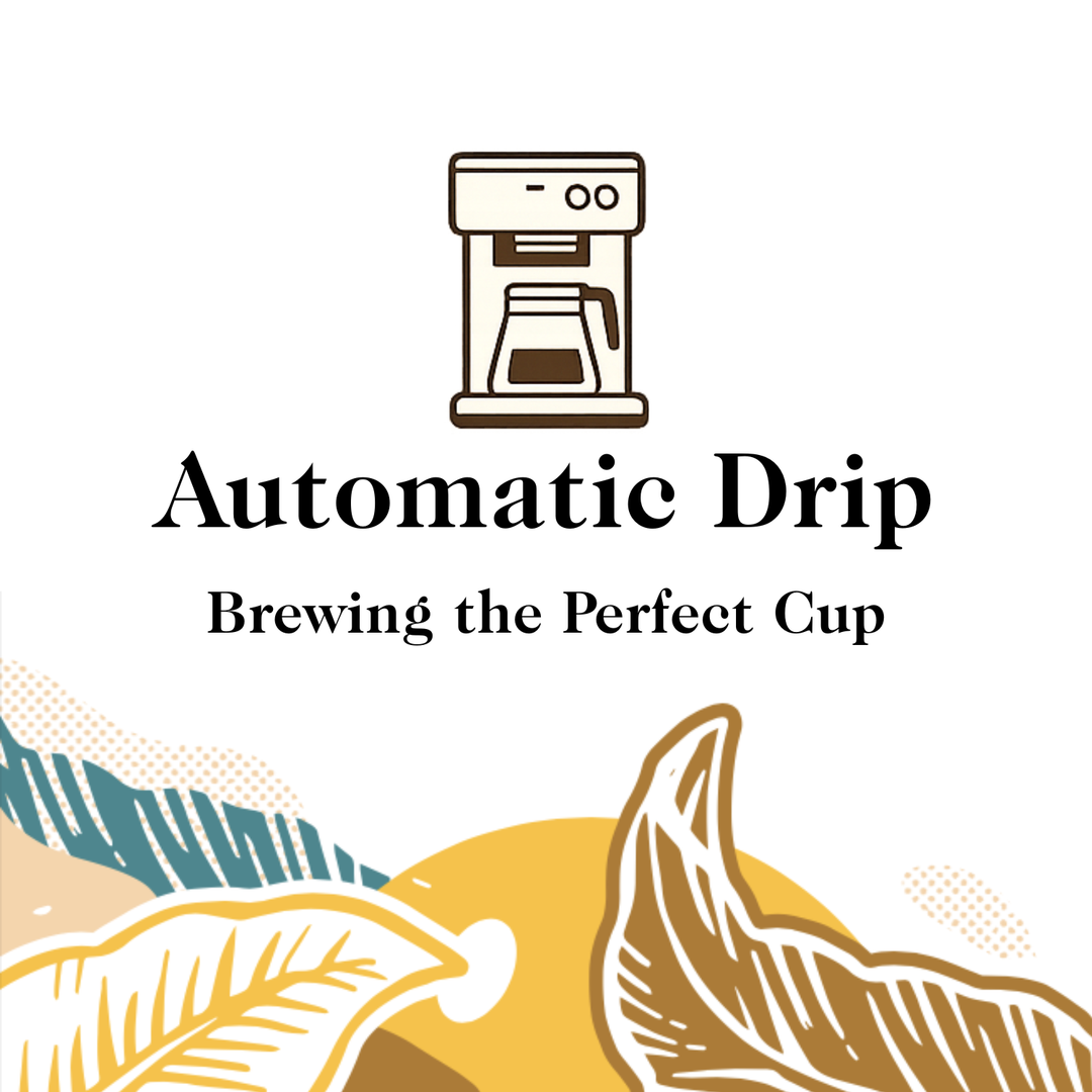 Brewing the Perfect Cup of Automatic Drip